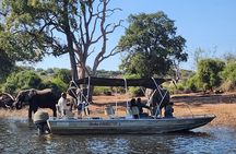 Chobe Explorer: Full-Day Land & River Safari (Small Group)
