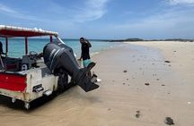 Perfect Island + Amazing snorkeling with turtles near Panama City