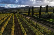 In the Heart of Chianti Classico : Wine, Winery and Tradition
