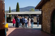 In the Heart of Chianti Classico : Wine, Winery and Tradition