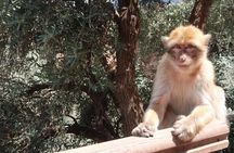 Ouzoud waterfalls day trip - Marrakech To Ouzoud Excursion