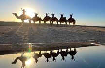Berber Agafay Experience: Camel Ride, Quad & Dinner show