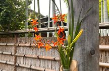 Tokyo Gardens E-Bike Tour: Discover Hidden Beauty