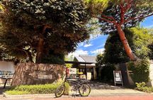 Tokyo Gardens E-Bike Tour: Discover Hidden Beauty