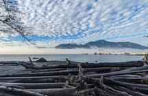 Private Tour:Whistler+Sea 2 sky gondola+Shannon Fall+Green Lake 