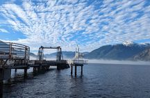 Private Tour:Whistler+Sea 2 sky gondola+Shannon Fall+Green Lake 