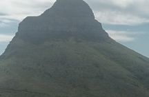 Cape Town: Robben lsland plus Table Mountain Tour