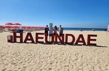 Busan private tour with a licensed tour guide