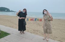 Busan private tour with a licensed tour guide