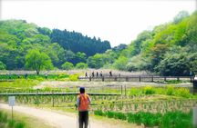 Lake Shidaka and Lake Kagurame Nordic Walking Tour