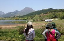 Lake Shidaka and Lake Kagurame Nordic Walking Tour