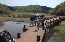 Lake Shidaka and Lake Kagurame Nordic Walking Tour