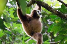 1 Day Ethical Jungle Trekking