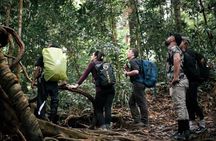 1 Day Ethical Jungle Trekking
