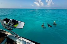 Surfing Lessons & Snorkel Crystal Blue Waters #1 Experience 2.5hr