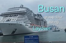 Busan shared tour during Layover of Cruise Max 15 guests