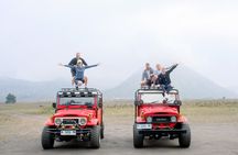 Mount Bromo Private Sunrise Day Tour - From Surabaya or Malang