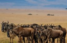 6 Days of Experiences Through Northern Circuit Destinations