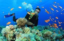 Professional Diving Expedition with Transfers & Lunch – Hurghada