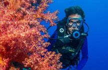 Professional Diving Expedition with Transfers & Lunch – Hurghada