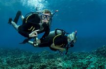 Tiran Island Full Day 2 Diving Stops Trip & Lunch–Sharm El Sheikh