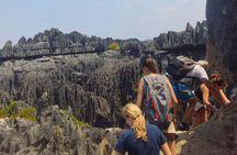 Baobab & Grand Tsingy Walk in 14 Days