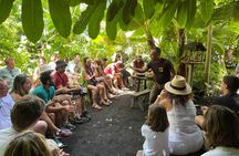 Eco Friendly Banana Cultivation Tour in La Palma