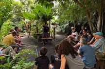 Eco Friendly Banana Cultivation Tour in La Palma