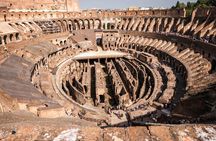 Rome : Colosseum,Arena,Palatine Hill and Roman Forum Guided Tour
