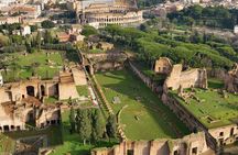 Rome : Colosseum,Arena,Palatine Hill and Roman Forum Guided Tour