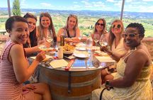 Tuscany Wine Tour: 2 Wineries & San Gimignano from Florence