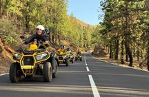 Puerto DE la Cruz : Live the Teide EN Quad – POR a.m. or Sunset