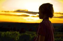 An Immersive Night Tour Between Vines and Lights