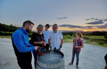 An Immersive Night Tour Between Vines and Lights