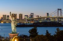 Tokyo After Dark: Private Night City Tour