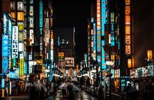 Tokyo After Dark: Private Night City Tour