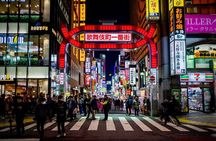 Tokyo After Dark: Private Night City Tour