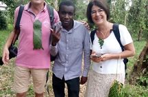 Stone Town Nakupenda beach and Spice Farm Tour with Local Guide