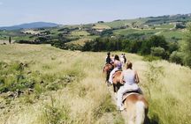 Scenic Tuscan Horseback Ride with Aperitif near Florence
