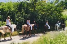 Scenic Tuscan Horseback Ride with Aperitif near Florence