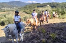 Scenic Tuscan Horseback Ride with Aperitif near Florence