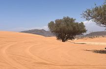 EN 4*4 Desert Excursion in Agadir with Meal