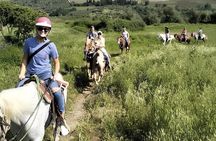 Horseback Ride and Wine Tasting Tour near Florence