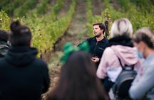 Horseback Ride and Wine Tasting Tour near Florence
