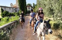 Horseback Ride and Wine Tasting Tour near Florence