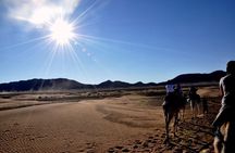 2 Day Desert Tour From Marrakech To Zagora Marrakech Desert Tours