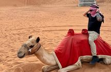 Evening Desert Safari With Free Camel Ride and BBQ Dinner 