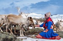 Reindeer Safari And Wild Arctic Meal