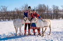 Reindeer Safari And Wild Arctic Meal