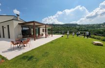 Tasting of Organic Mountain Wines with Vineyard and Cellar Tour